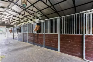 613 Dressage Ct, Aiken, SC 29805 - Photo 59