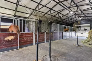 613 Dressage Ct, Aiken, SC 29805 - Photo 61