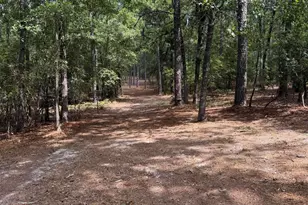 355 Station Ln, Aiken, SC 29803 - Photo 95