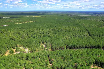 64.68 Acre Mt Beulah Road, Windsor, SC 29856 - Photo 5