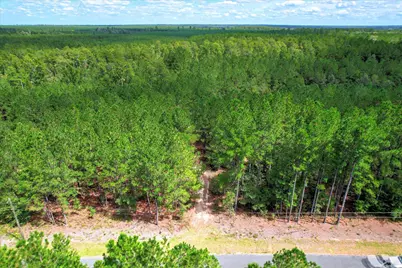 64.68 Acre Mt Beulah Road, Windsor, SC 29856 - Photo 7