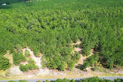 64.68 Acre Mt Beulah Road, Windsor, SC 29856 - Photo 19