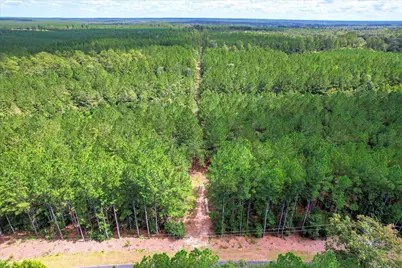 64.68 Acre Mt Beulah Road, Windsor, SC 29856 - Photo 9