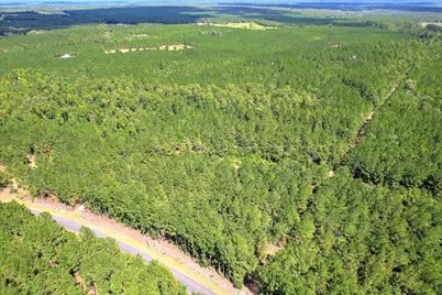 64.68 Acre Mt Beulah Road, Windsor, SC 29856 - Photo 17