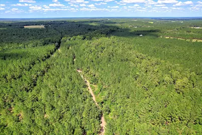 64.68 Acre Mt Beulah Road, Windsor, SC 29856 - Photo 13