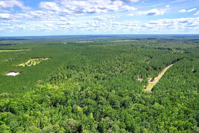 64.68 Acre Mt Beulah Road, Windsor, SC 29856 - Photo 15
