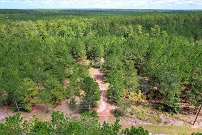 64.68 Acre Mt Beulah Road, Windsor, SC 29856 - Photo 3