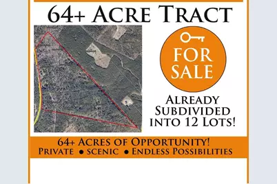 64.68 Acre Mt Beulah Road, Windsor, SC 29856 - Photo 1