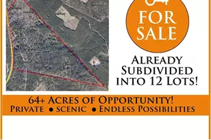 64 68 Acre Mt Beulah Rd, Windsor, SC 29856 - Photo 1