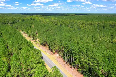 64.68 Acre Mt Beulah Road, Windsor, SC 29856 - Photo 11