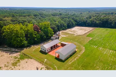 2122 New Holland Road, Wagener, SC 29164 - Photo 3