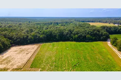 2122 New Holland Road, Wagener, SC 29164 - Photo 5