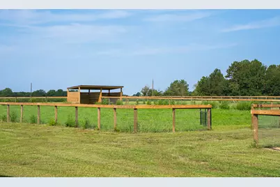 2122 New Holland Road, Wagener, SC 29164 - Photo 39
