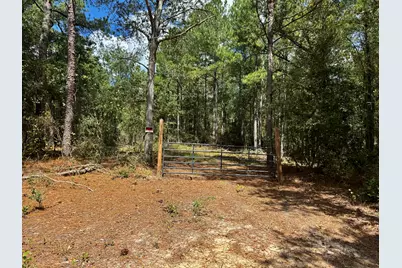 Xx Goose Platter Road, Monetta, SC 29105 - Photo 5