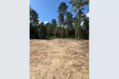 336 Wendell Lane, Wagener, SC 29164 - Photo 7