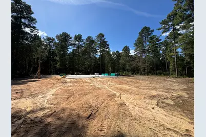 336 Wendell Lane, Wagener, SC 29164 - Photo 5