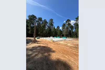 336 Wendell Lane, Wagener, SC 29164 - Photo 3