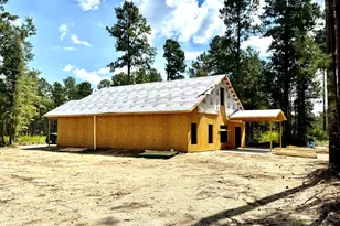 336 Wendell Ln, Wagener, SC 29164 - Photo 11