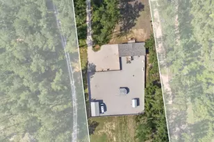 824 White Pond Rd, Williston, SC 29853 - Photo 3