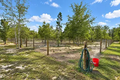 415 Finback Road, Wagener, SC 29164 - Photo 47