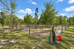 415 Finback Rd, Wagener, SC 29164 - Photo 47