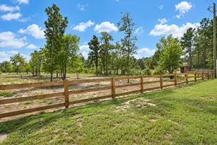 415 Finback Rd, Wagener, SC 29164 - Photo 71