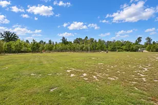 415 Finback Rd, Wagener, SC 29164 - Photo 59