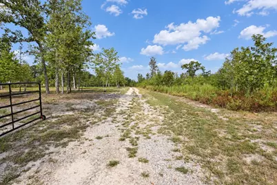 415 Finback Road, Wagener, SC 29164 - Photo 61