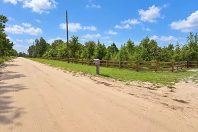 415 Finback Road, Wagener, SC 29164 - Photo 65