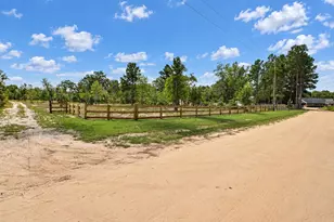 415 Finback Rd, Wagener, SC 29164 - Photo 63