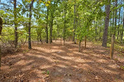 415 Finback Road, Wagener, SC 29164 - Photo 73