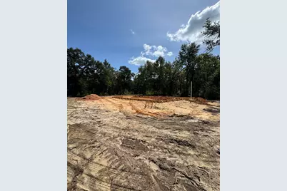 124 Long Branch Road, Salley, SC 29137 - Photo 29