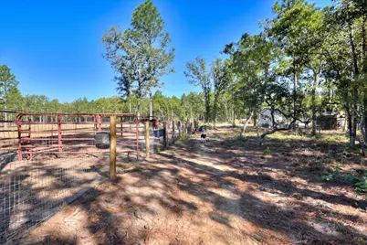 679 Live Oak Drive, Windsor, SC 29856 - Photo 13