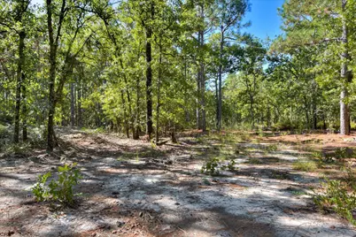 679 Live Oak Drive, Windsor, SC 29856 - Photo 25