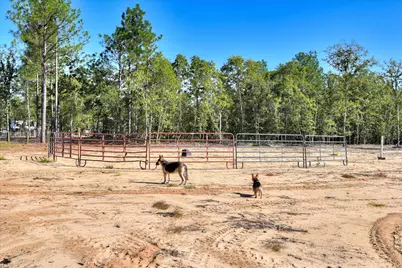 679 Live Oak Drive, Windsor, SC 29856 - Photo 19