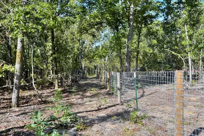 679 Live Oak Drive, Windsor, SC 29856 - Photo 17