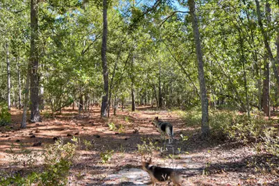 679 Live Oak Drive, Windsor, SC 29856 - Photo 27