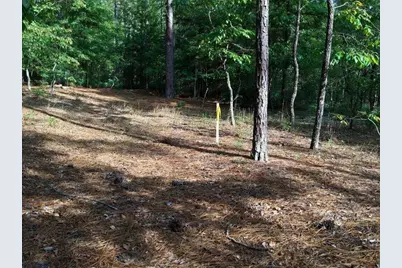 0 Lot 7 Holiness Church Road, Wagener, SC 29164 - Photo 19
