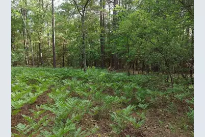 0 Lot 7 Holiness Church Road, Wagener, SC 29164 - Photo 25