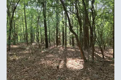 0 Lot 7 Holiness Church Road, Wagener, SC 29164 - Photo 23