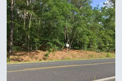 0 Lot 7 Holiness Church Road, Wagener, SC 29164 - Photo 15