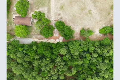 0 Lot 7 Holiness Church Road, Wagener, SC 29164 - Photo 5