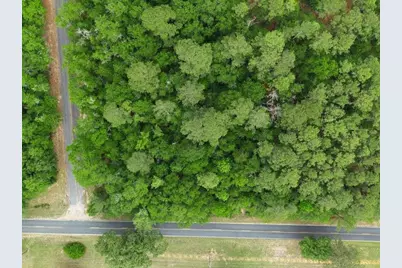 0 Lot 7 Holiness Church Road, Wagener, SC 29164 - Photo 3
