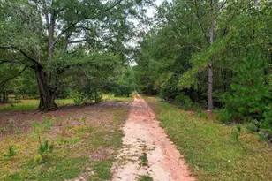 6595 Haywood Dr, Harlem, GA 30814 - Photo 95
