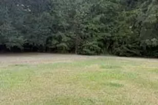 5841 Columbia Hwy N, Monetta, SC 29105 - Photo 3
