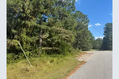 00 S Boundary Avenue, New Ellenton, SC 29809 - Photo 3