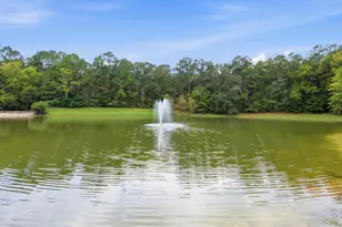 1078 Willow Woods Dr, Aiken, SC 29803 - Photo 45