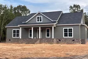 203 Mile Bridge Way, Johnston, SC 29832 - Photo 1