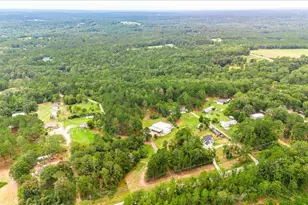 2657 Pine Log Rd, Warrenville, SC 29851 - Photo 51
