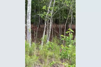 00 Warbonnet Road, Salley, SC 29137 - Photo 3